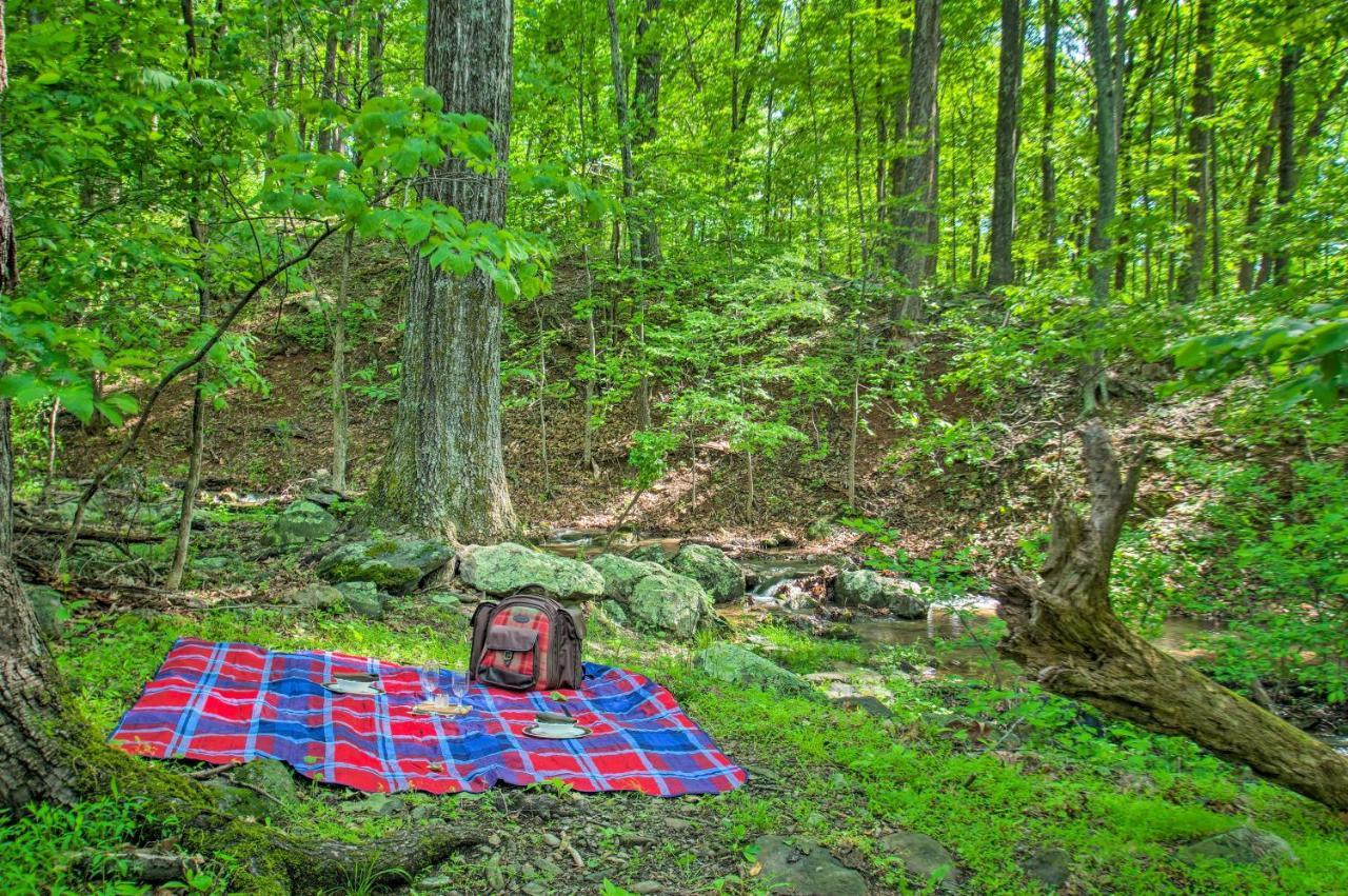 Crozet Renovated Studio On 5 Acres - Near Vineyards! מראה חיצוני תמונה